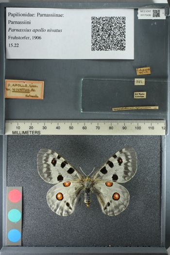 Media type: image;   Entomology 175436